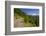 Mt. Hood from Mt. Hood National Forest. Oregon, USA-Craig Tuttle-Framed Photographic Print