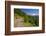 Mt. Hood from Mt. Hood National Forest. Oregon, USA-Craig Tuttle-Framed Photographic Print