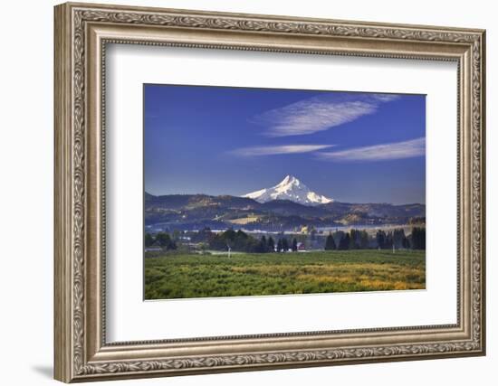 Mt. Hood, Hood River Valley, Columbia River Gorge National Scenic Area, Oregon-Craig Tuttle-Framed Photographic Print