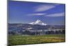 Mt. Hood, Hood River Valley, Columbia River Gorge National Scenic Area, Oregon-Craig Tuttle-Mounted Photographic Print