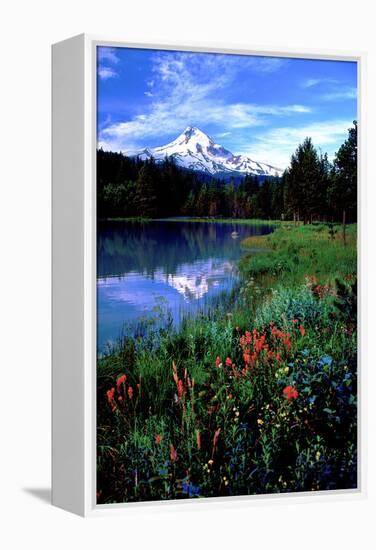 Mt. Hood III-Ike Leahy-Framed Premier Image Canvas