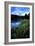 Mt. Hood III-Ike Leahy-Framed Photographic Print