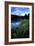 Mt. Hood III-Ike Leahy-Framed Photographic Print