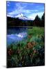 Mt. Hood III-Ike Leahy-Mounted Photographic Print