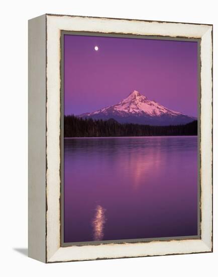 Mt Hood in Moonlight, Lost Lake, Oregon Cascades, USA-Janis Miglavs-Framed Premier Image Canvas
