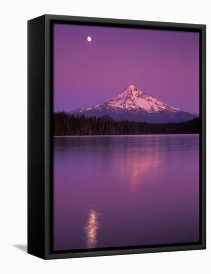 Mt Hood in Moonlight, Lost Lake, Oregon Cascades, USA-Janis Miglavs-Framed Premier Image Canvas