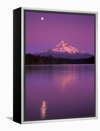 Mt Hood in Moonlight, Lost Lake, Oregon Cascades, USA-Janis Miglavs-Framed Premier Image Canvas