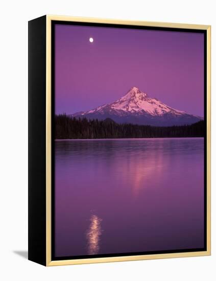 Mt Hood in Moonlight, Lost Lake, Oregon Cascades, USA-Janis Miglavs-Framed Premier Image Canvas