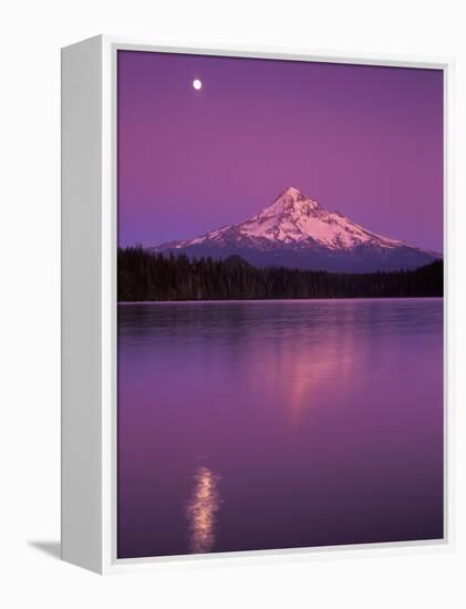 Mt Hood in Moonlight, Lost Lake, Oregon Cascades, USA-Janis Miglavs-Framed Premier Image Canvas