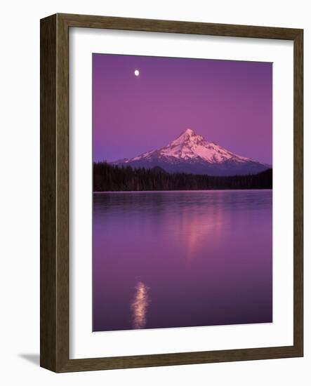 Mt Hood in Moonlight, Lost Lake, Oregon Cascades, USA-Janis Miglavs-Framed Photographic Print