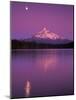 Mt Hood in Moonlight, Lost Lake, Oregon Cascades, USA-Janis Miglavs-Mounted Photographic Print