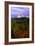 Mt. Hood IV-Ike Leahy-Framed Photographic Print