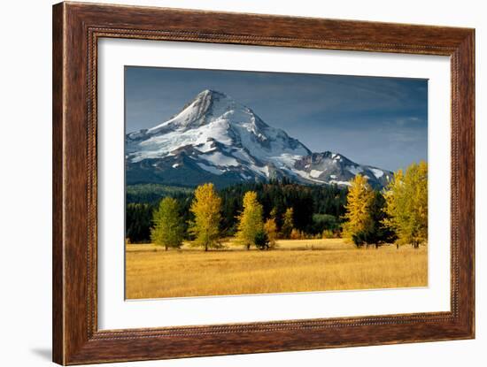 Mt. Hood IX-Ike Leahy-Framed Photographic Print