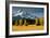 Mt. Hood IX-Ike Leahy-Framed Photographic Print