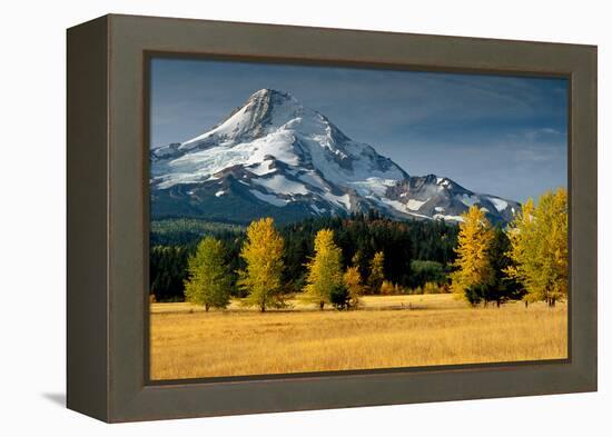 Mt. Hood IX-Ike Leahy-Framed Premier Image Canvas