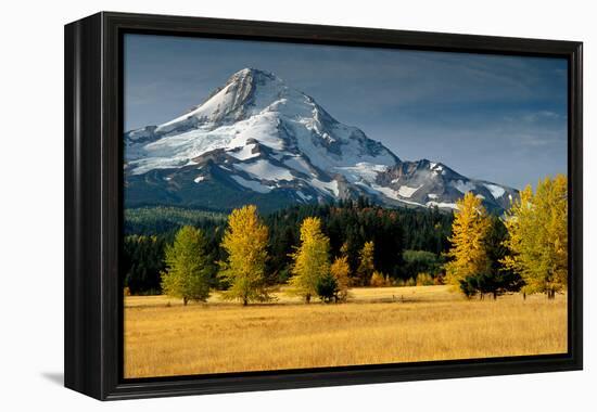 Mt. Hood IX-Ike Leahy-Framed Premier Image Canvas