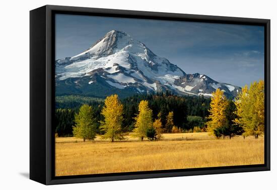 Mt. Hood IX-Ike Leahy-Framed Premier Image Canvas