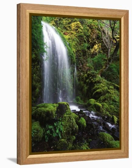 Mt Hood National Forest, Waterfall, Columbia Gorge Scenic Area, Oregon, USA-Stuart Westmorland-Framed Premier Image Canvas