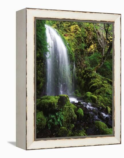 Mt Hood National Forest, Waterfall, Columbia Gorge Scenic Area, Oregon, USA-Stuart Westmorland-Framed Premier Image Canvas