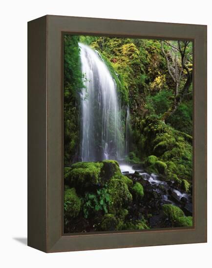 Mt Hood National Forest, Waterfall, Columbia Gorge Scenic Area, Oregon, USA-Stuart Westmorland-Framed Premier Image Canvas