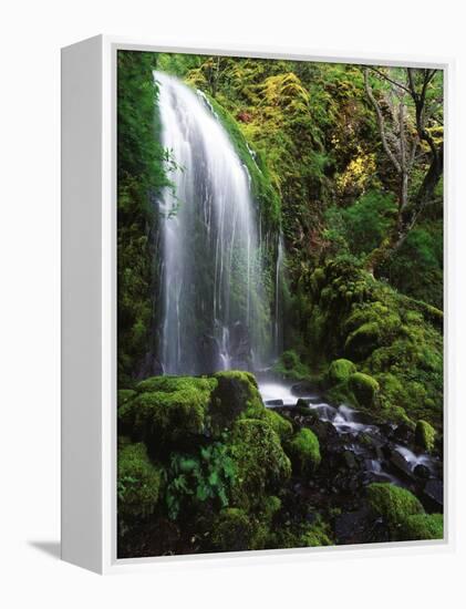 Mt Hood National Forest, Waterfall, Columbia Gorge Scenic Area, Oregon, USA-Stuart Westmorland-Framed Premier Image Canvas