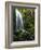 Mt Hood National Forest, Waterfall, Columbia Gorge Scenic Area, Oregon, USA-Stuart Westmorland-Framed Photographic Print