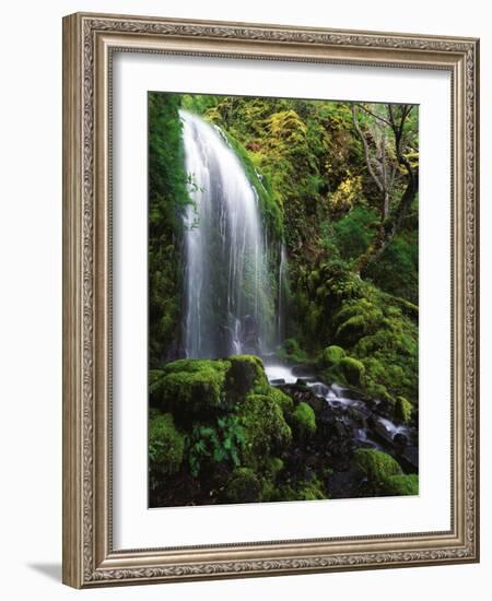 Mt Hood National Forest, Waterfall, Columbia Gorge Scenic Area, Oregon, USA-Stuart Westmorland-Framed Photographic Print