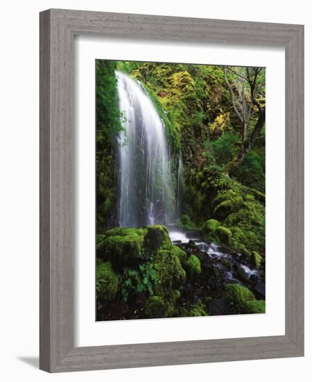 Mt Hood National Forest, Waterfall, Columbia Gorge Scenic Area, Oregon, USA-Stuart Westmorland-Framed Photographic Print