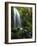 Mt Hood National Forest, Waterfall, Columbia Gorge Scenic Area, Oregon, USA-Stuart Westmorland-Framed Photographic Print