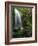 Mt Hood National Forest, Waterfall, Columbia Gorge Scenic Area, Oregon, USA-Stuart Westmorland-Framed Photographic Print