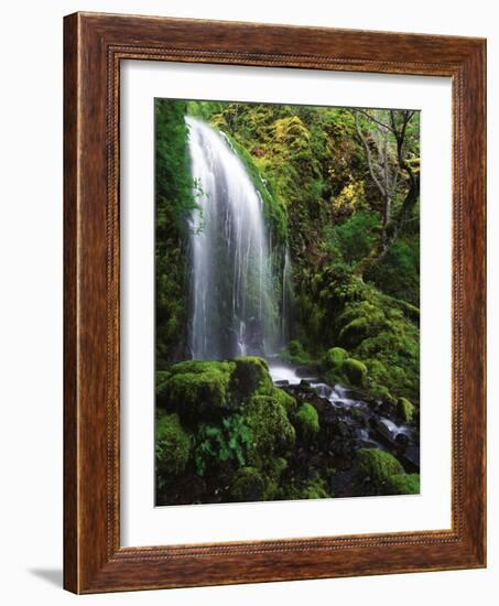 Mt Hood National Forest, Waterfall, Columbia Gorge Scenic Area, Oregon, USA-Stuart Westmorland-Framed Photographic Print