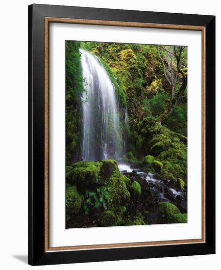 Mt Hood National Forest, Waterfall, Columbia Gorge Scenic Area, Oregon, USA-Stuart Westmorland-Framed Photographic Print