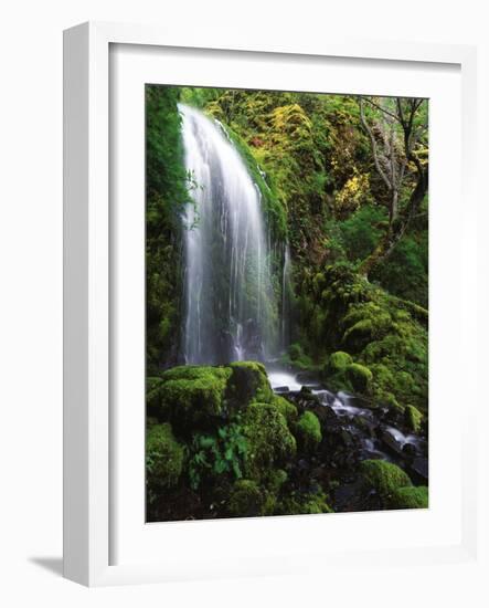 Mt Hood National Forest, Waterfall, Columbia Gorge Scenic Area, Oregon, USA-Stuart Westmorland-Framed Photographic Print