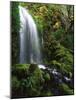 Mt Hood National Forest, Waterfall, Columbia Gorge Scenic Area, Oregon, USA-Stuart Westmorland-Mounted Photographic Print