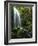 Mt Hood National Forest, Waterfall, Columbia Gorge Scenic Area, Oregon, USA-Stuart Westmorland-Framed Photographic Print