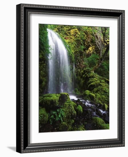 Mt Hood National Forest, Waterfall, Columbia Gorge Scenic Area, Oregon, USA-Stuart Westmorland-Framed Photographic Print