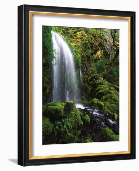 Mt Hood National Forest, Waterfall, Columbia Gorge Scenic Area, Oregon, USA-Stuart Westmorland-Framed Photographic Print