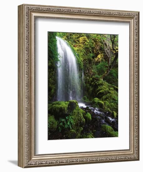 Mt Hood National Forest, Waterfall, Columbia Gorge Scenic Area, Oregon, USA-Stuart Westmorland-Framed Photographic Print
