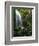 Mt Hood National Forest, Waterfall, Columbia Gorge Scenic Area, Oregon, USA-Stuart Westmorland-Framed Photographic Print