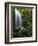 Mt Hood National Forest, Waterfall, Columbia Gorge Scenic Area, Oregon, USA-Stuart Westmorland-Framed Photographic Print