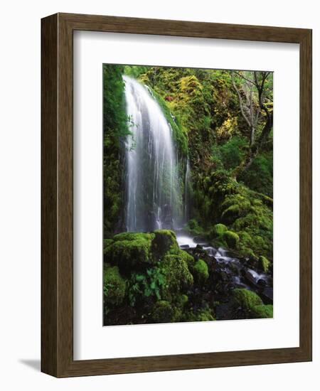 Mt Hood National Forest, Waterfall, Columbia Gorge Scenic Area, Oregon, USA-Stuart Westmorland-Framed Photographic Print