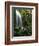 Mt Hood National Forest, Waterfall, Columbia Gorge Scenic Area, Oregon, USA-Stuart Westmorland-Framed Photographic Print