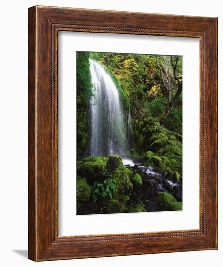 Mt Hood National Forest, Waterfall, Columbia Gorge Scenic Area, Oregon, USA-Stuart Westmorland-Framed Photographic Print