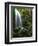 Mt Hood National Forest, Waterfall, Columbia Gorge Scenic Area, Oregon, USA-Stuart Westmorland-Framed Photographic Print