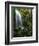 Mt Hood National Forest, Waterfall, Columbia Gorge Scenic Area, Oregon, USA-Stuart Westmorland-Framed Photographic Print