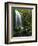 Mt Hood National Forest, Waterfall, Columbia Gorge Scenic Area, Oregon, USA-Stuart Westmorland-Framed Photographic Print