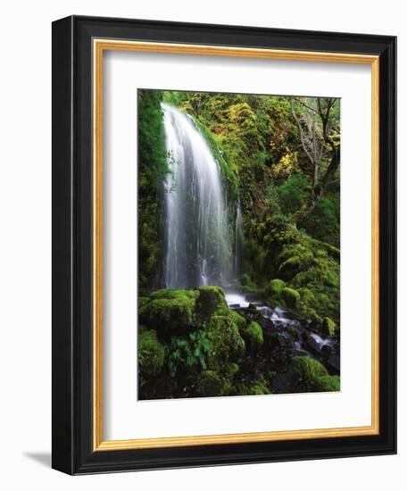 Mt Hood National Forest, Waterfall, Columbia Gorge Scenic Area, Oregon, USA-Stuart Westmorland-Framed Photographic Print