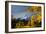 Mt. Hood Parkdale-Ike Leahy-Framed Photographic Print