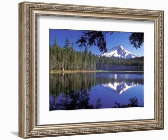 Mt. Hood Reflected in Frog Lake, Oregon, USA-Janis Miglavs-Framed Photographic Print