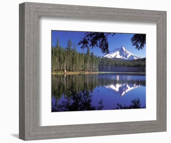 Mt. Hood Reflected in Frog Lake, Oregon, USA-Janis Miglavs-Framed Photographic Print